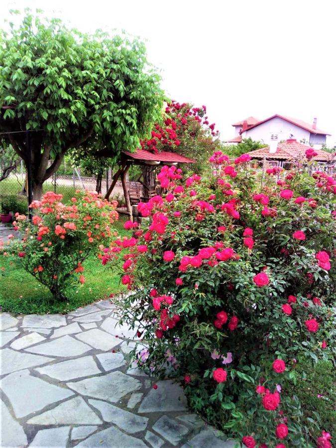 Villa Jenny Leptokarya  Exterior foto